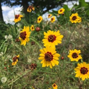 Meet your Posher, Karina